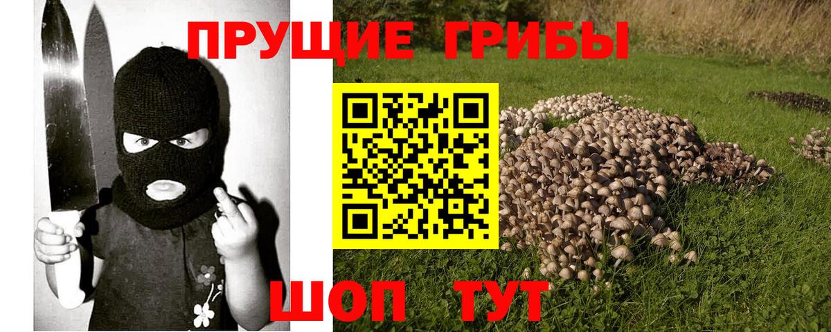 Галлюциногенные грибы Psilocybine cubensis Соликамск